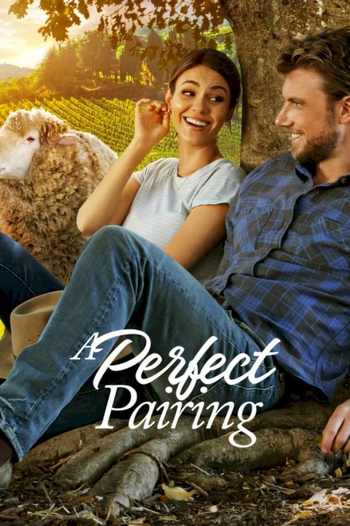 A Perfect Pairing (2022) Download